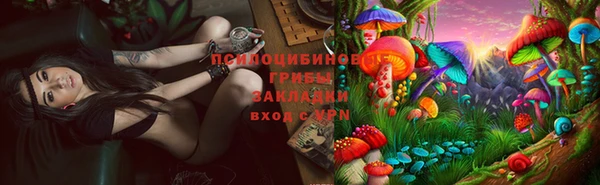 твердый Майский