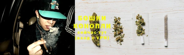 твердый Майский
