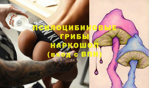 индика Медвежьегорск