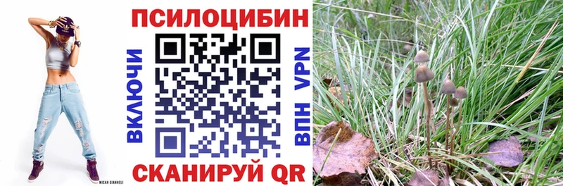Галлюциногенные грибы Magic Shrooms  Купить  Медынь 